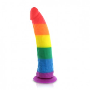 Silicone Rainbow Dildo